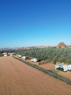 Resort Waha AL-Freid